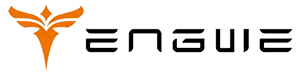 ENGWE Logo